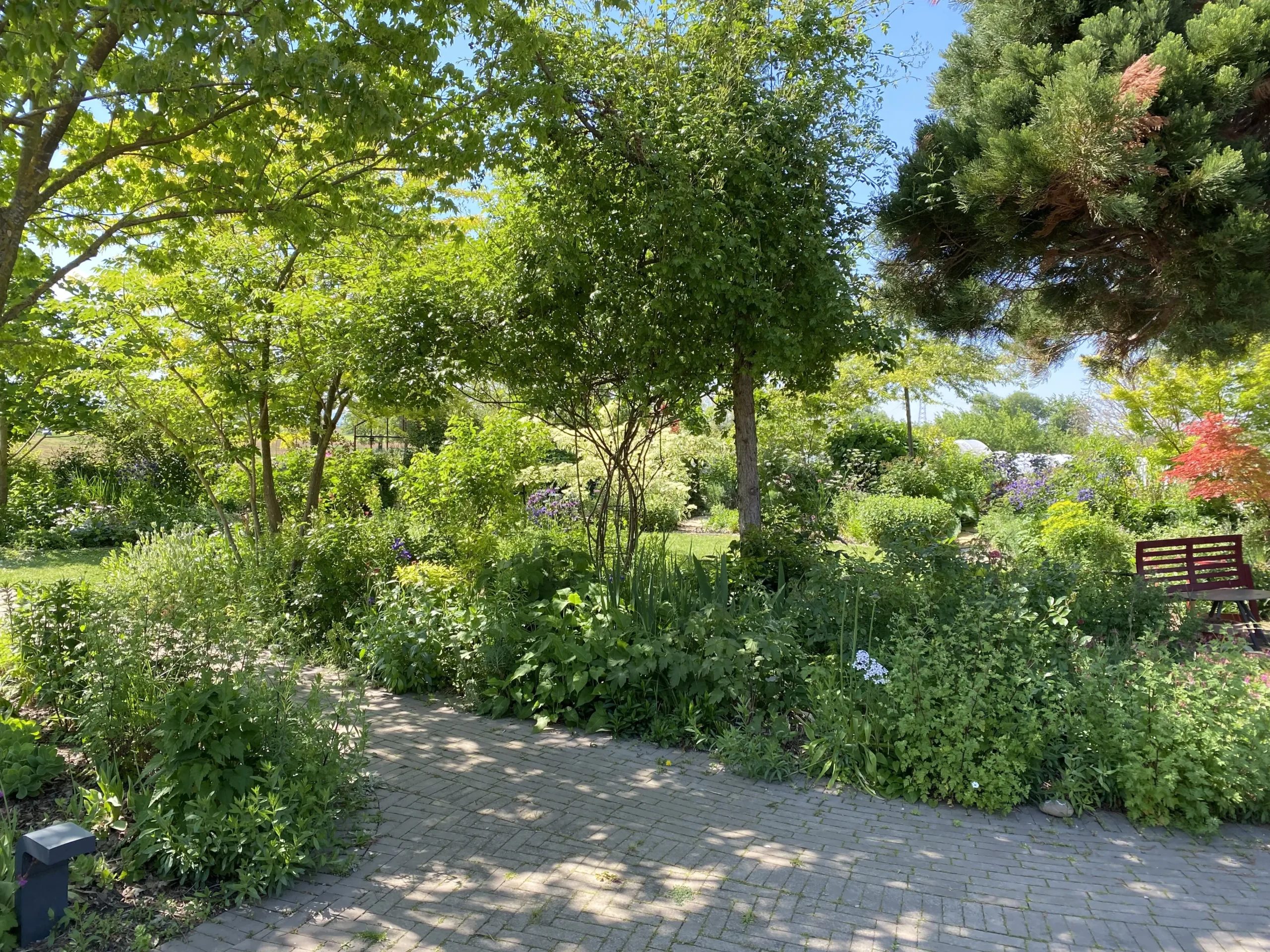 Le Jardin De Sylvie Et Roland À Ittenheim   1