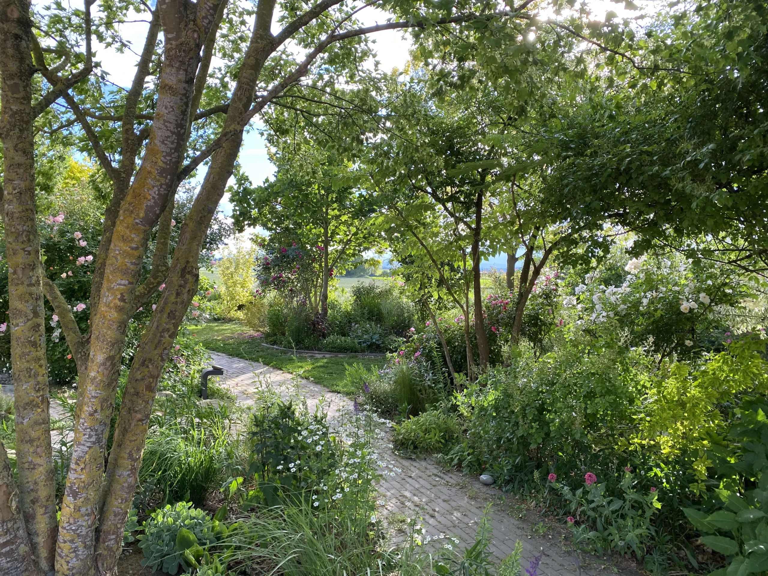 Le Jardin De Sylvie Et Roland À Ittenheim   2
