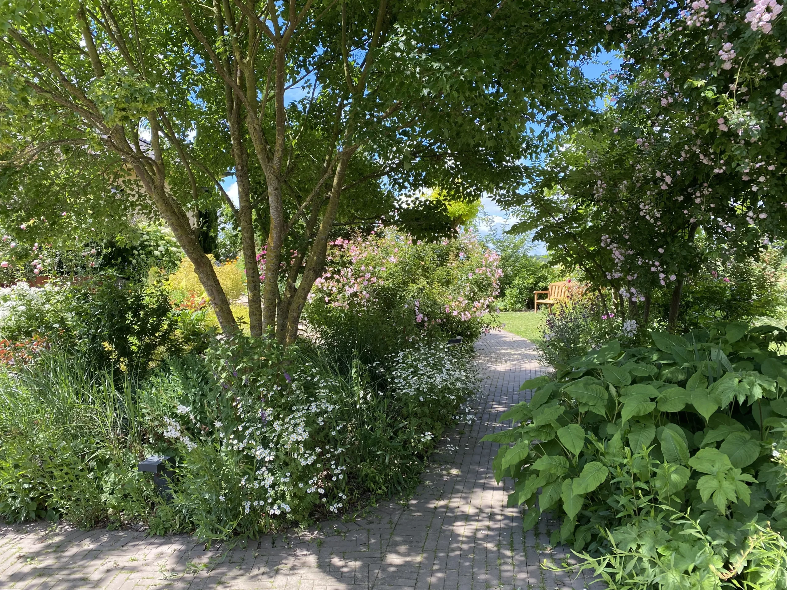 Le Jardin De Sylvie Et Roland À Ittenheim   3