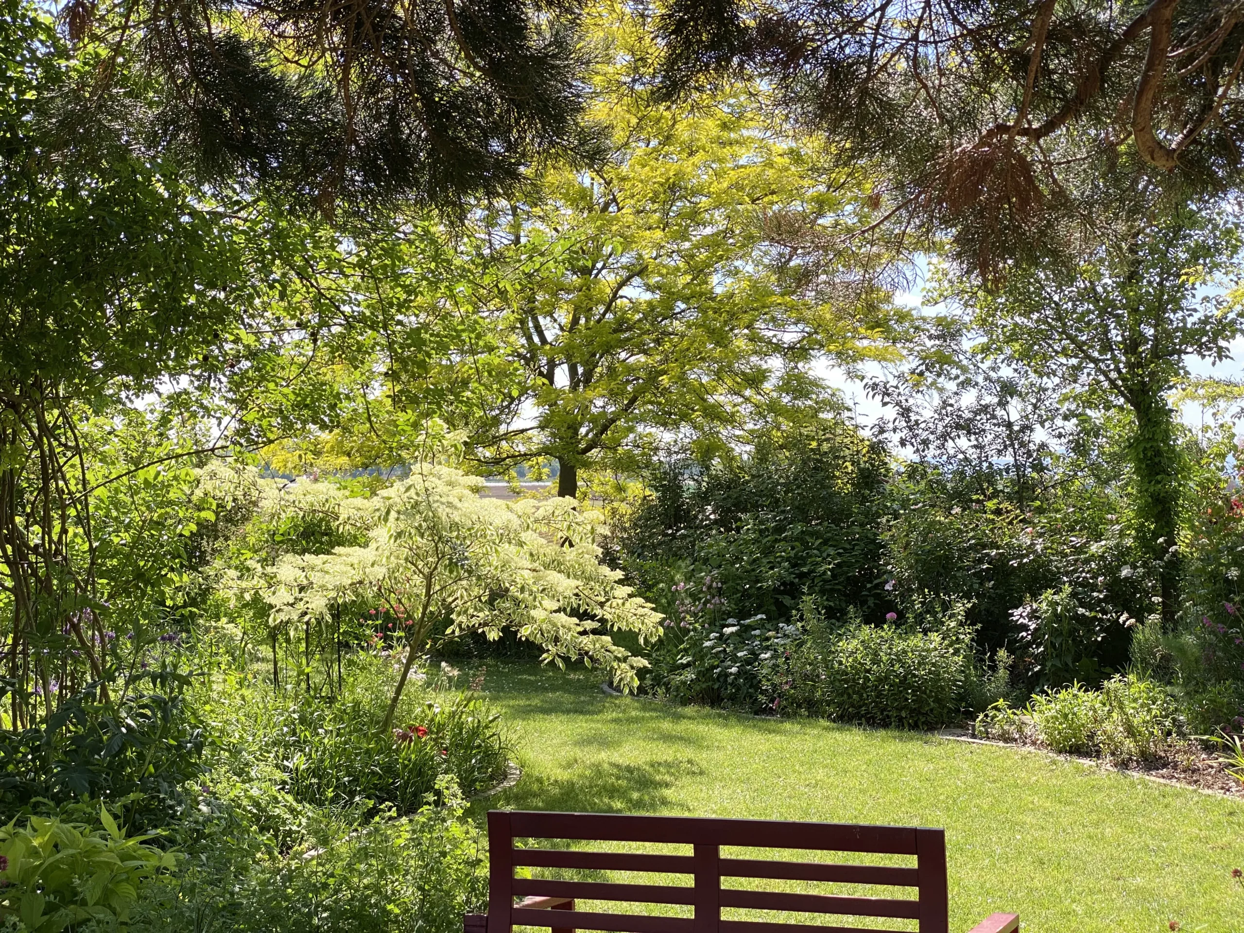 Le Jardin De Sylvie Et Roland À Ittenheim   5