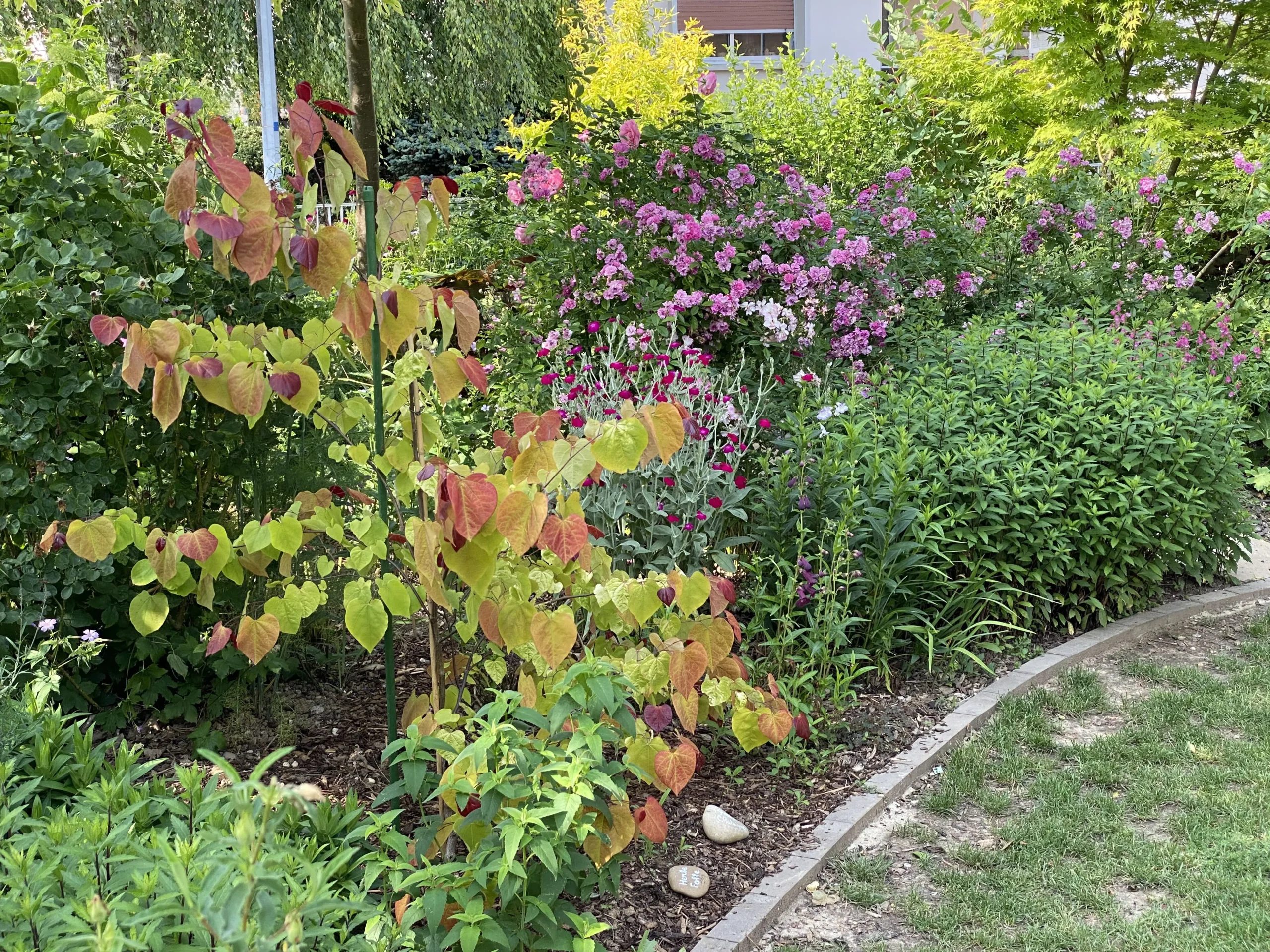 Le Jardin De Sylvie Et Roland À Ittenheim   6