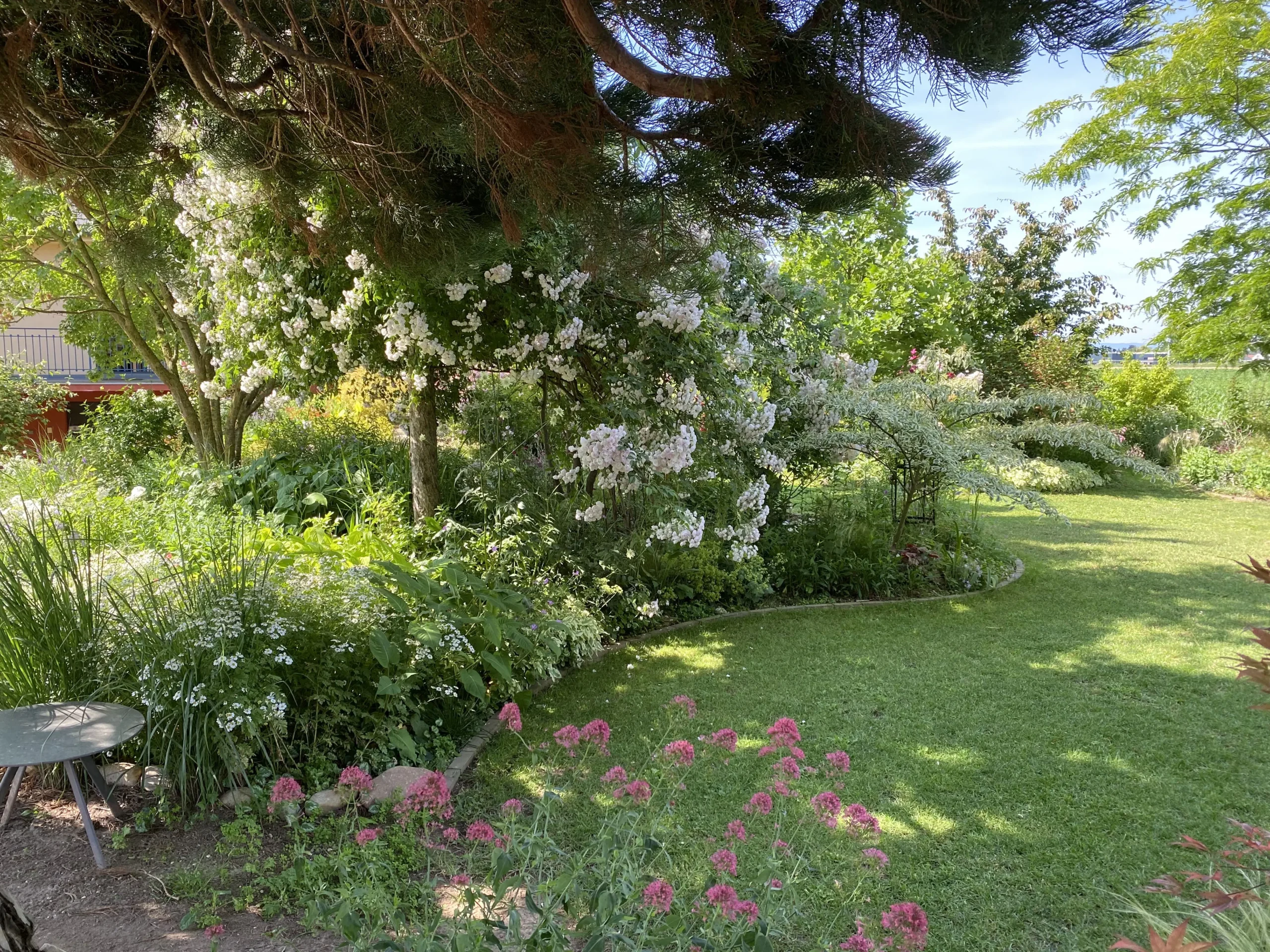 Le Jardin De Sylvie Et Roland À Ittenheim   9