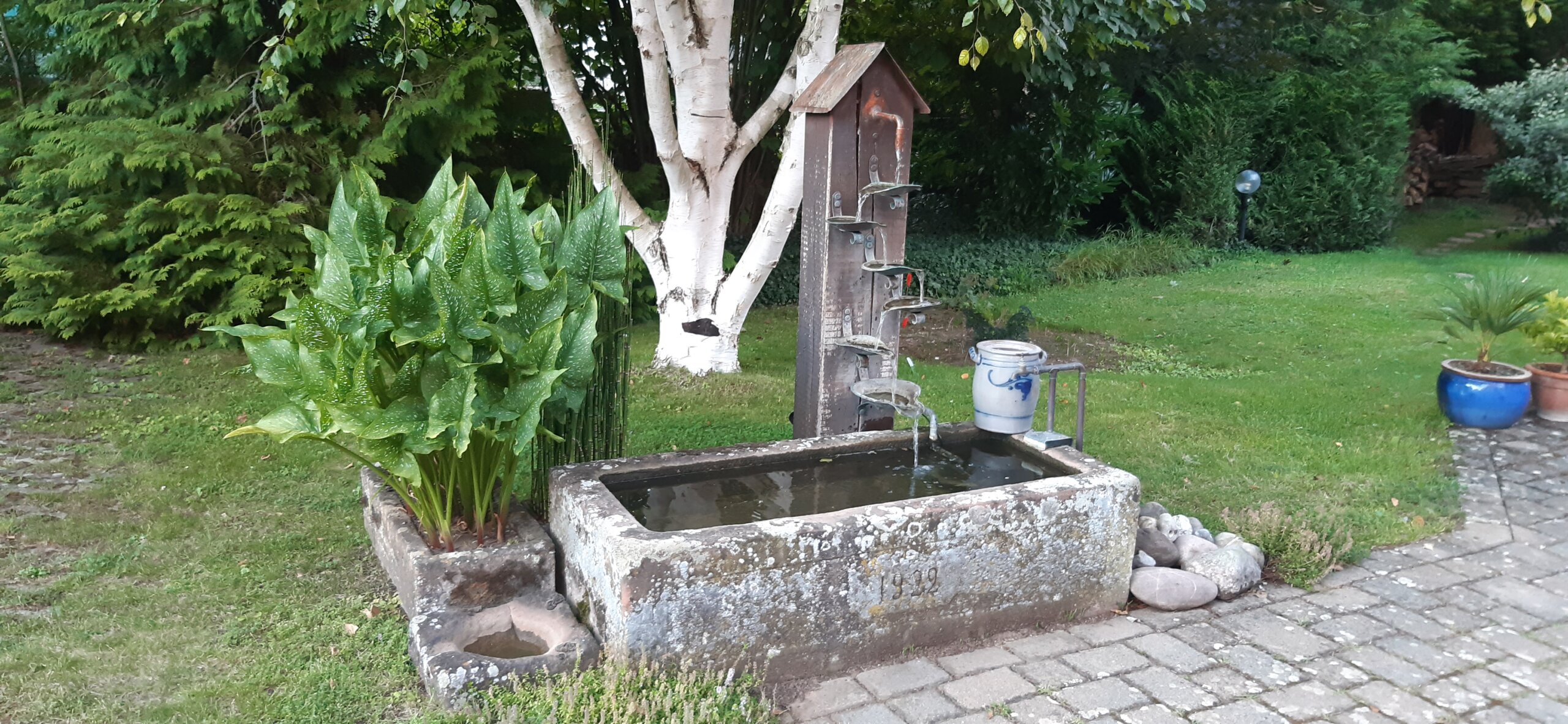 Jardin de Phillippe Elger