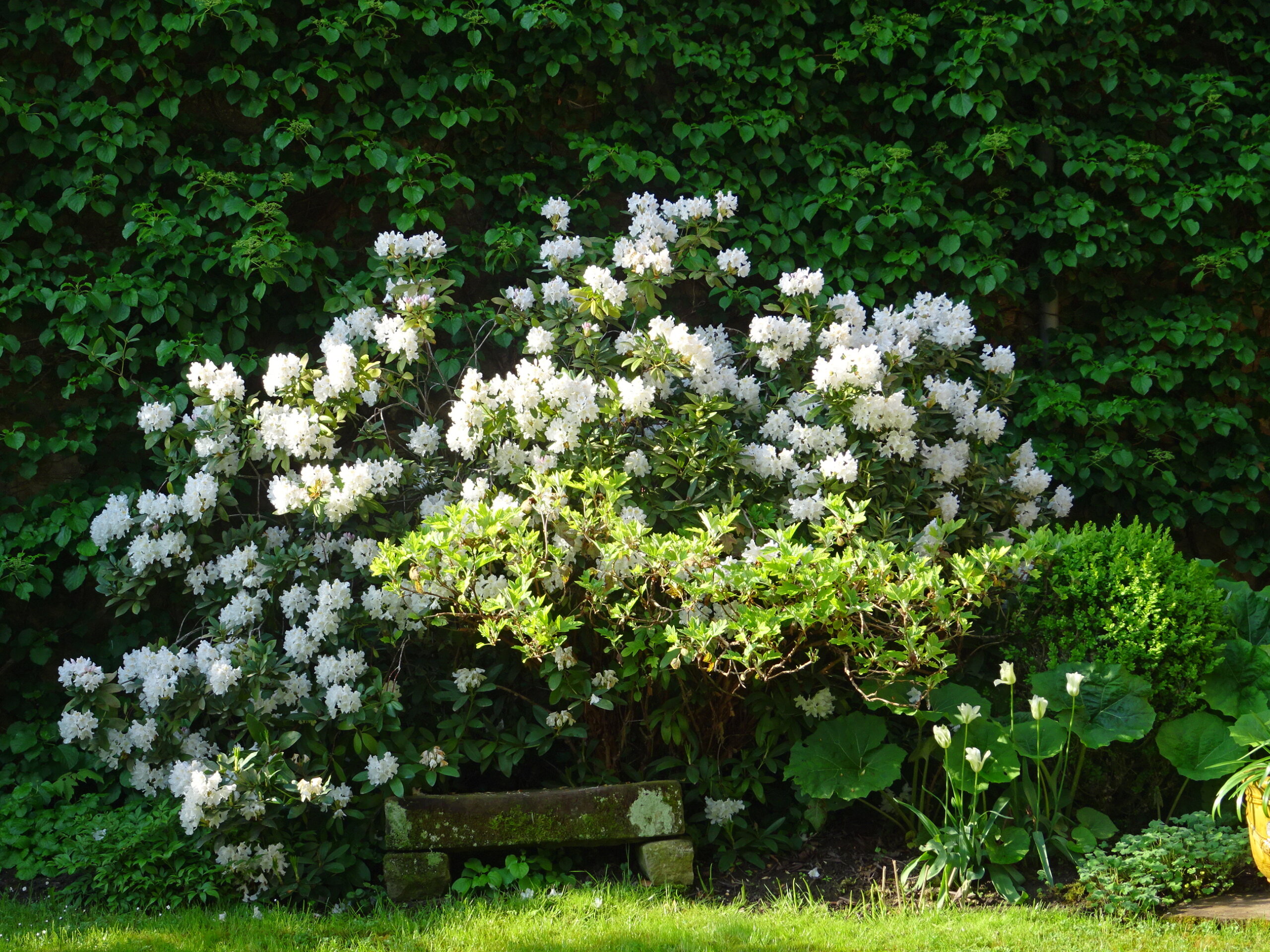 Jardin de Phillippe Elger