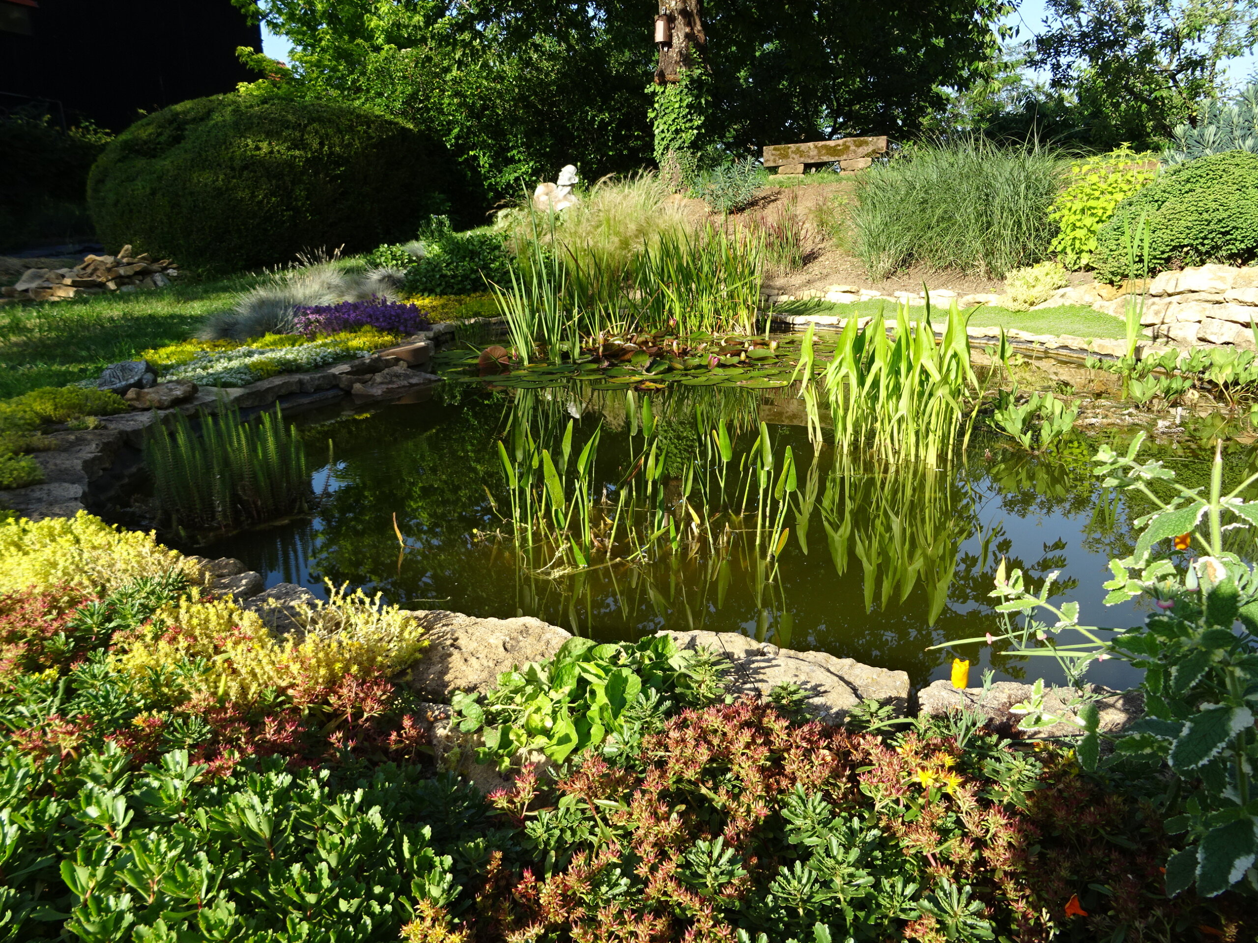 Jardin de Phillippe Elger