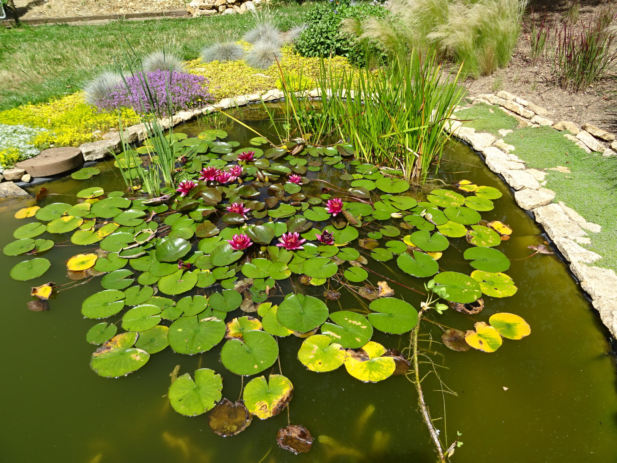 Jardin de Phillippe Elger