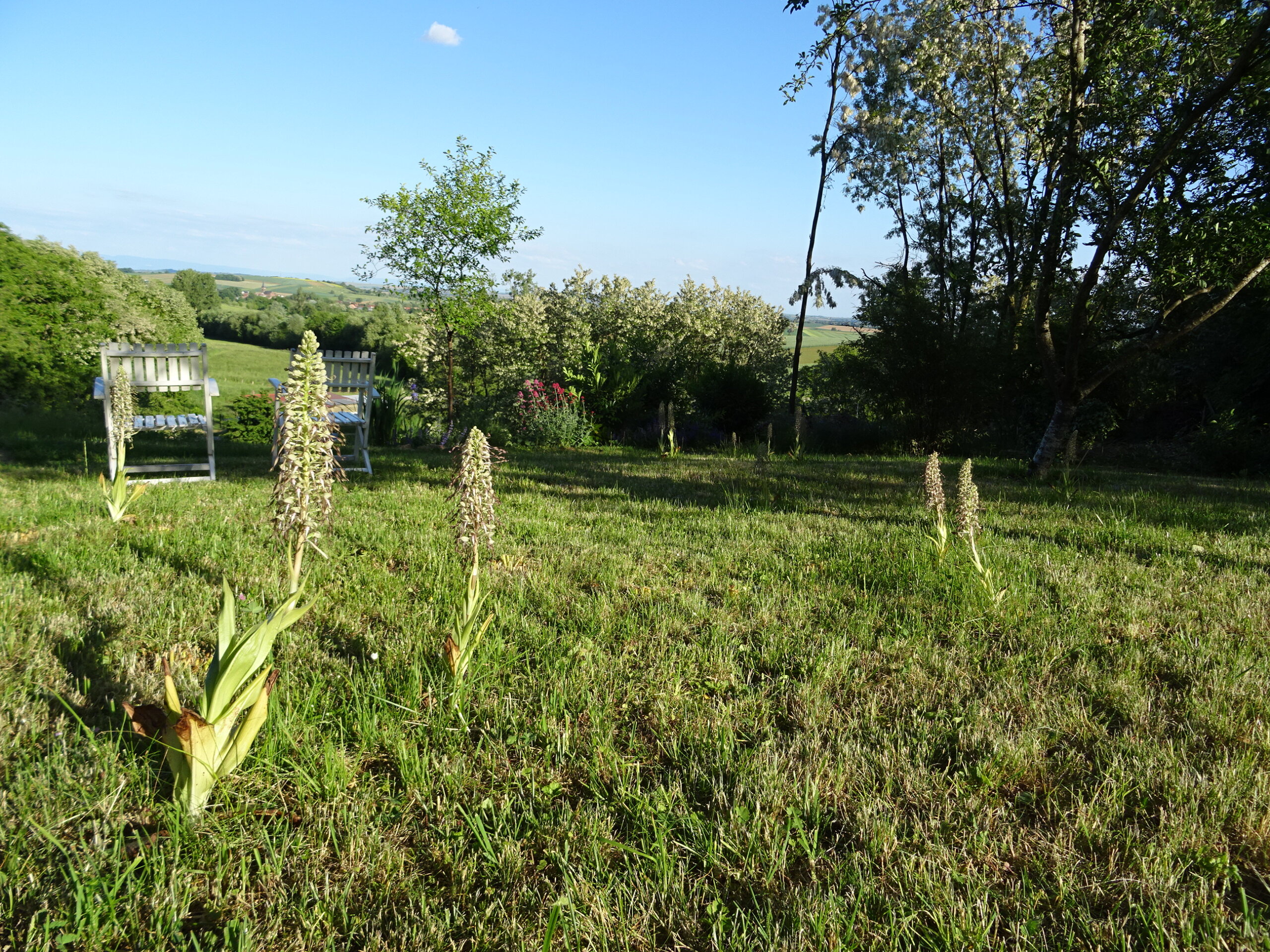 Jardin de Phillippe Elger