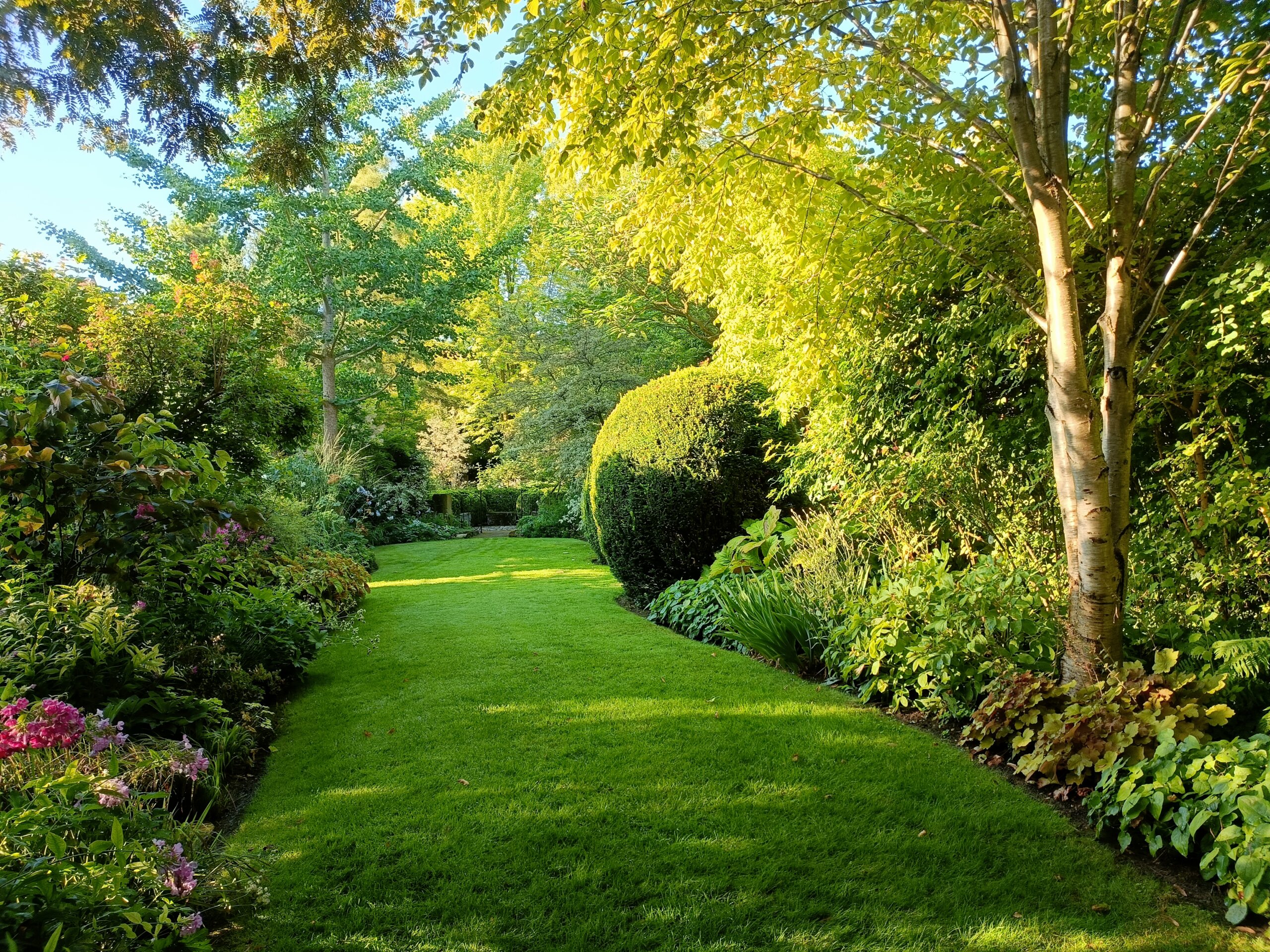 Jardin De Marguerite