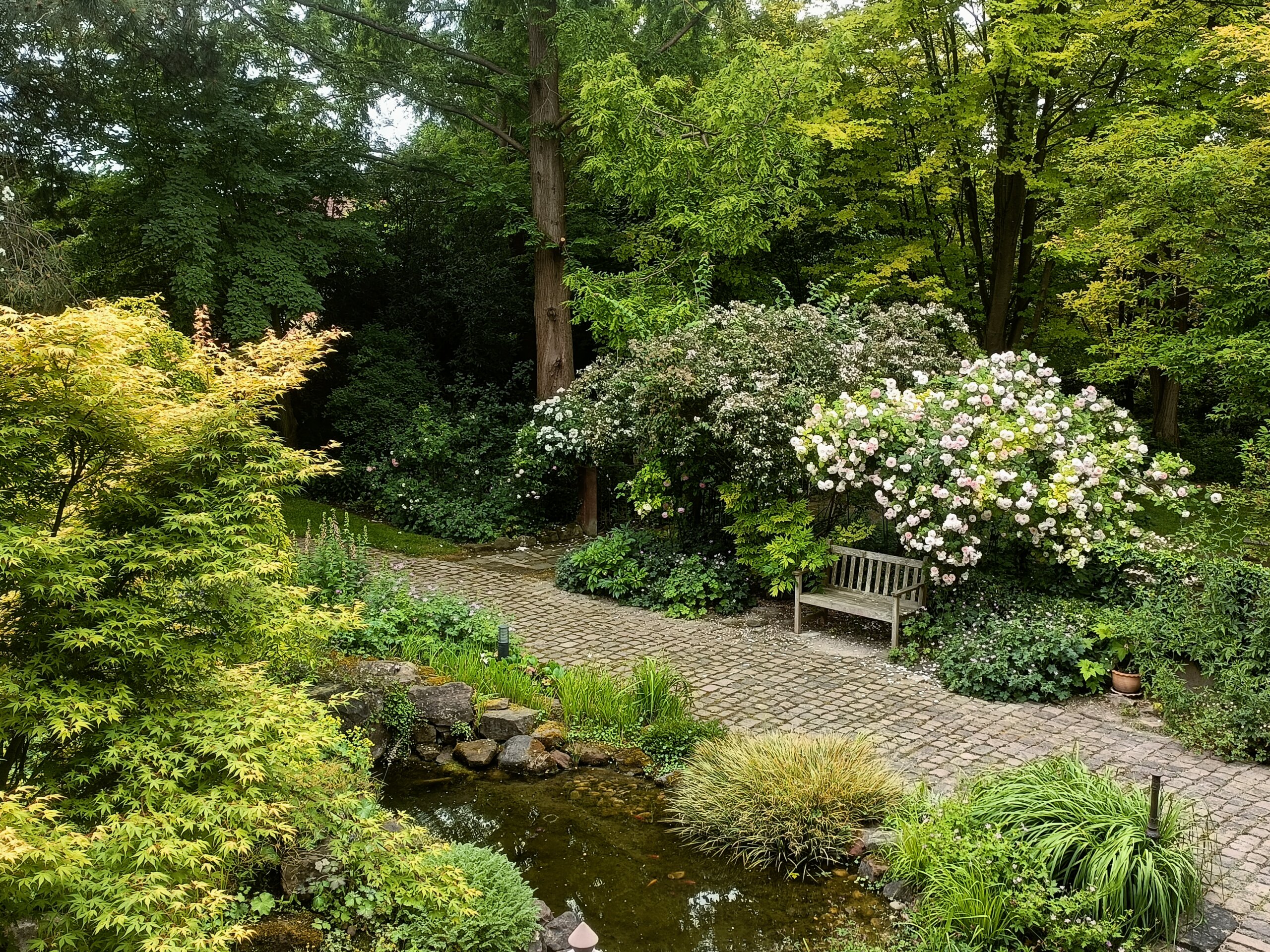 Jardin De Marguerite