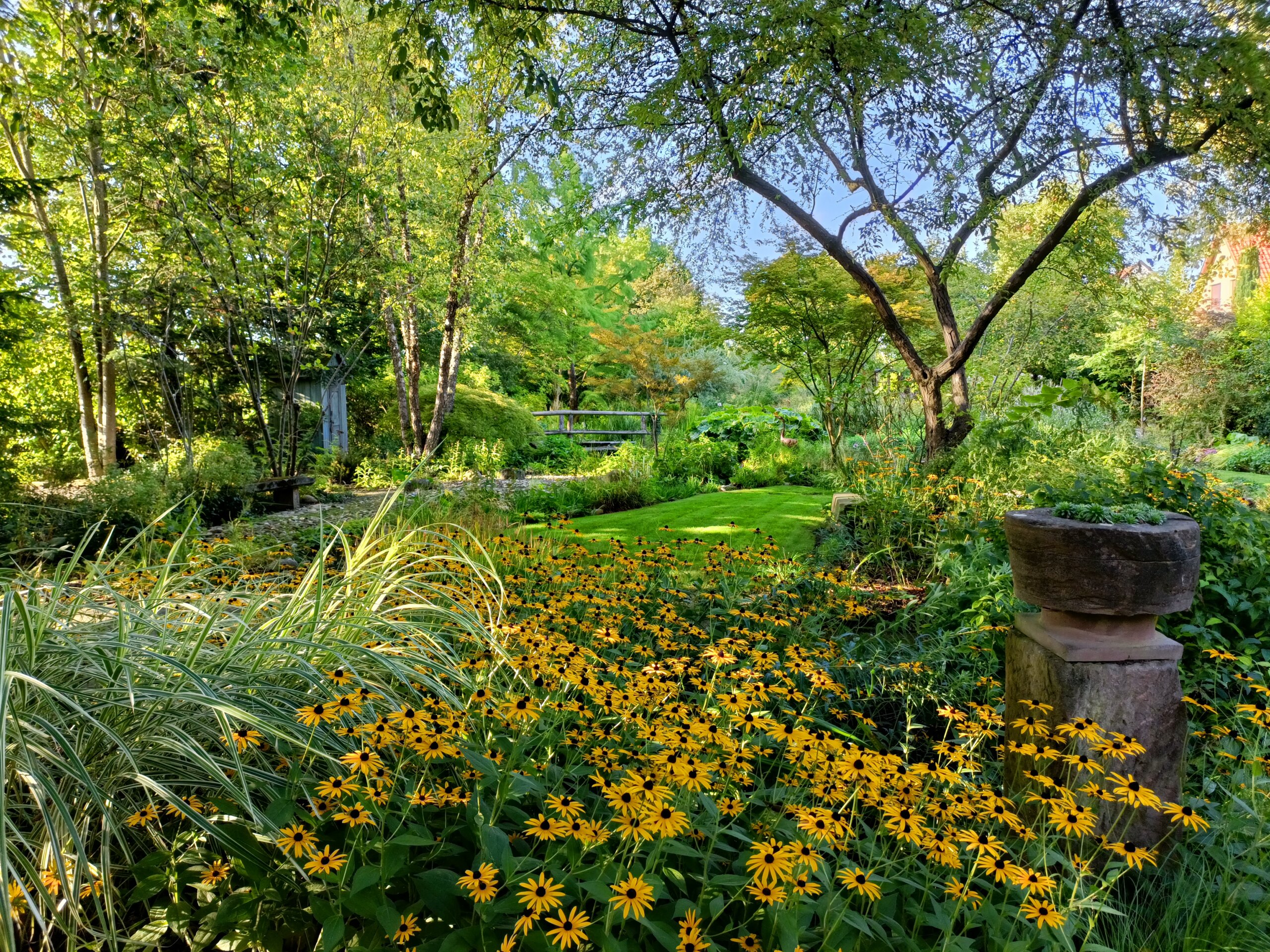 Jardin De Marguerite