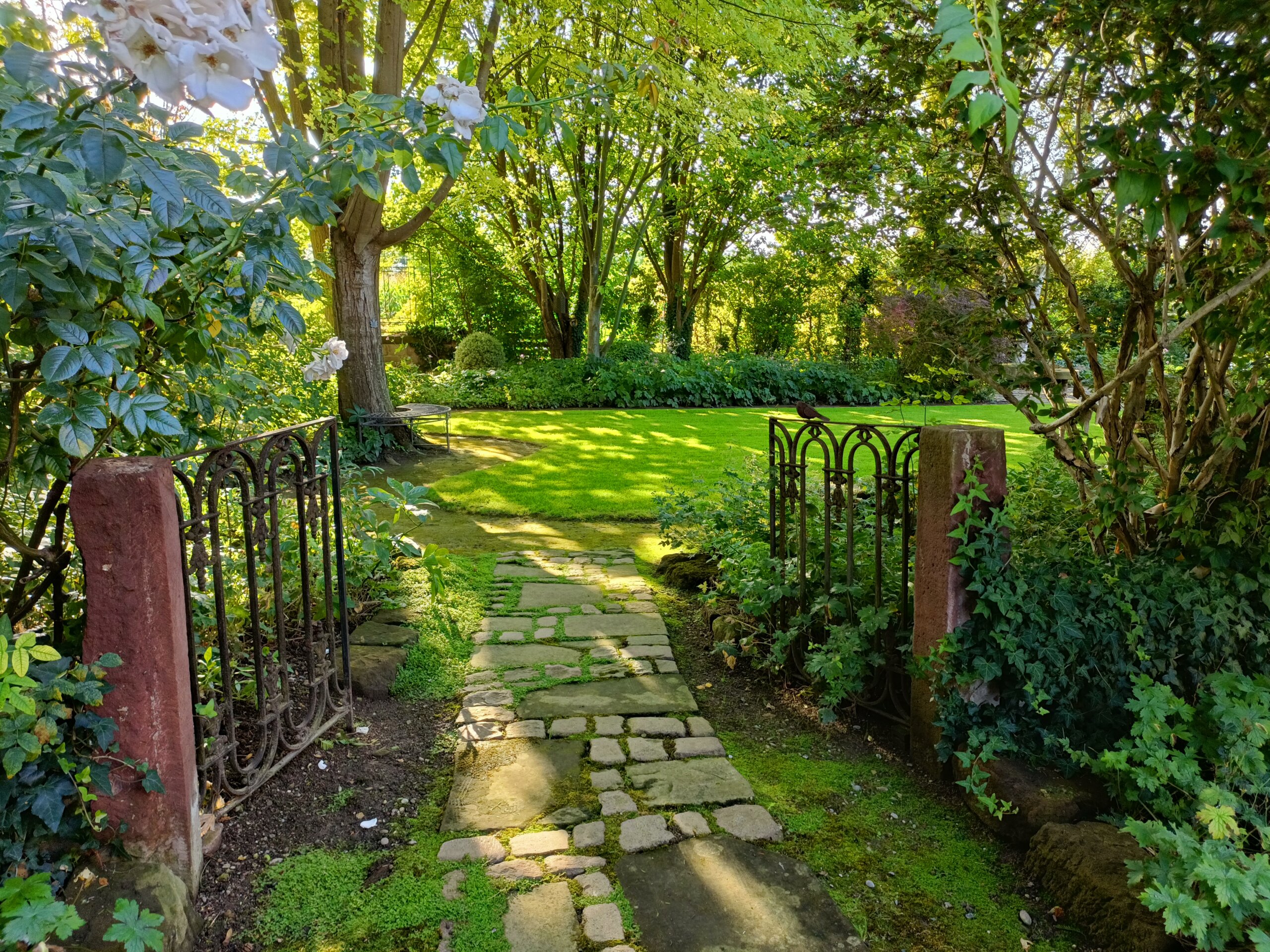 Jardin De Marguerite