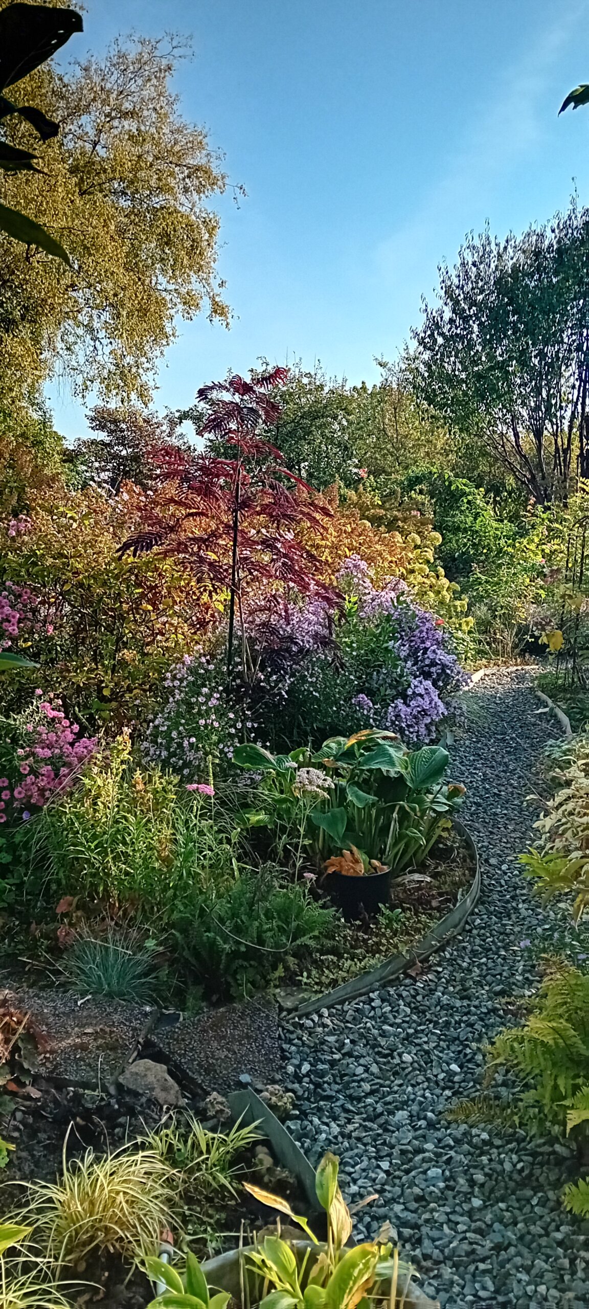 Jardin De Nicole Brivady
