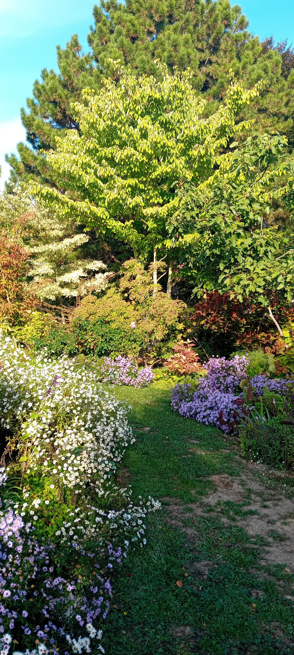 Jardin De Nicole Brivady 2