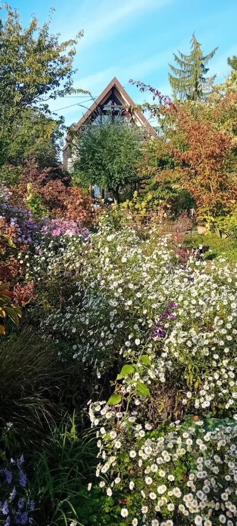 Jardin membre