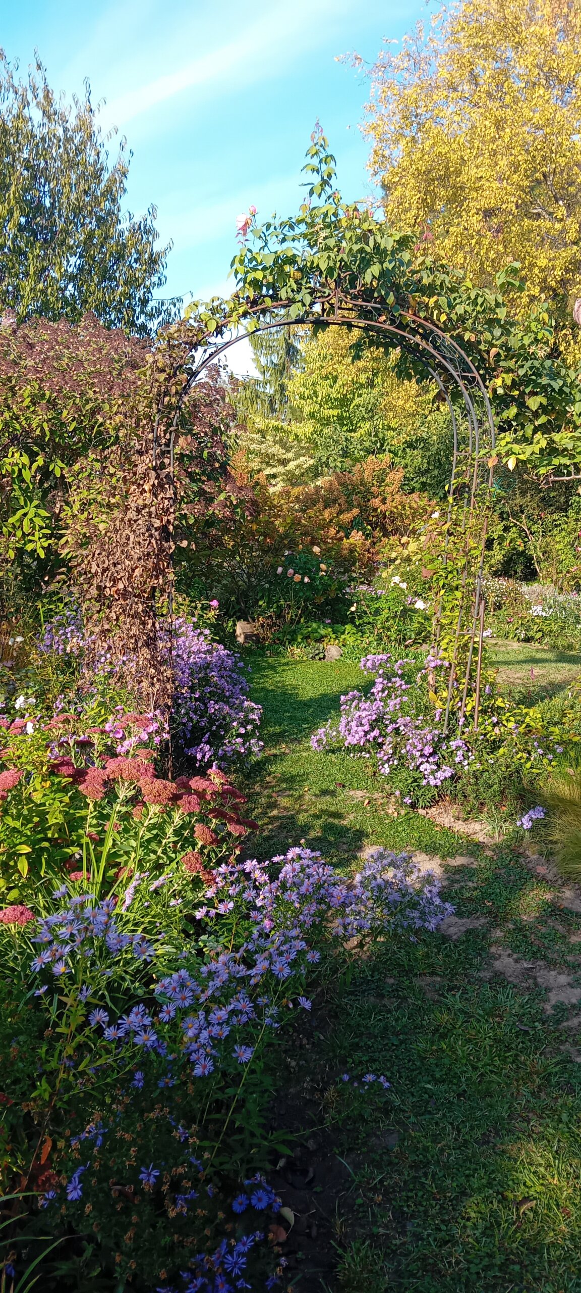 Jardin De Nicole Brivady 4