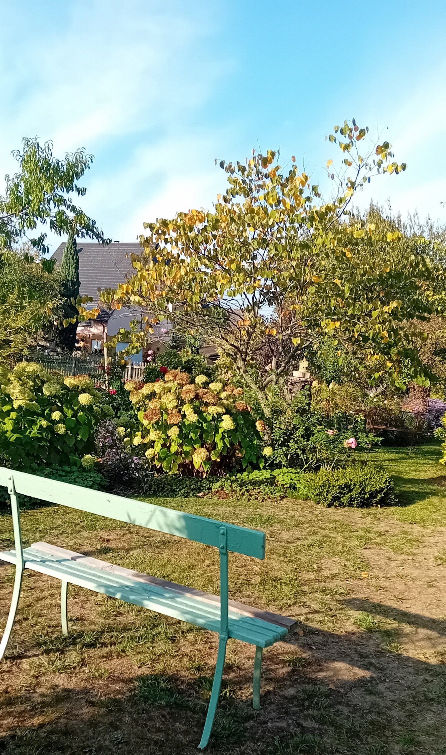 Jardin De Nicole Brivady 5